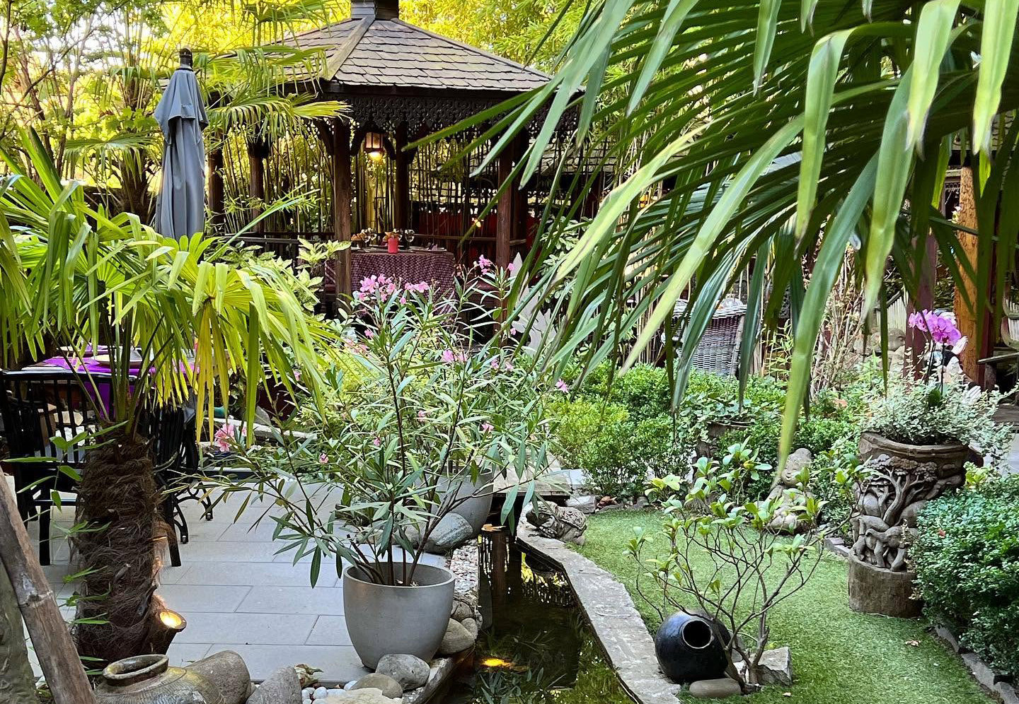 Jardin tropical luxuriant avec gazebo en bois, bassin aux poissons, palmiers et plantes fleuries colorées dans un cadre zen.