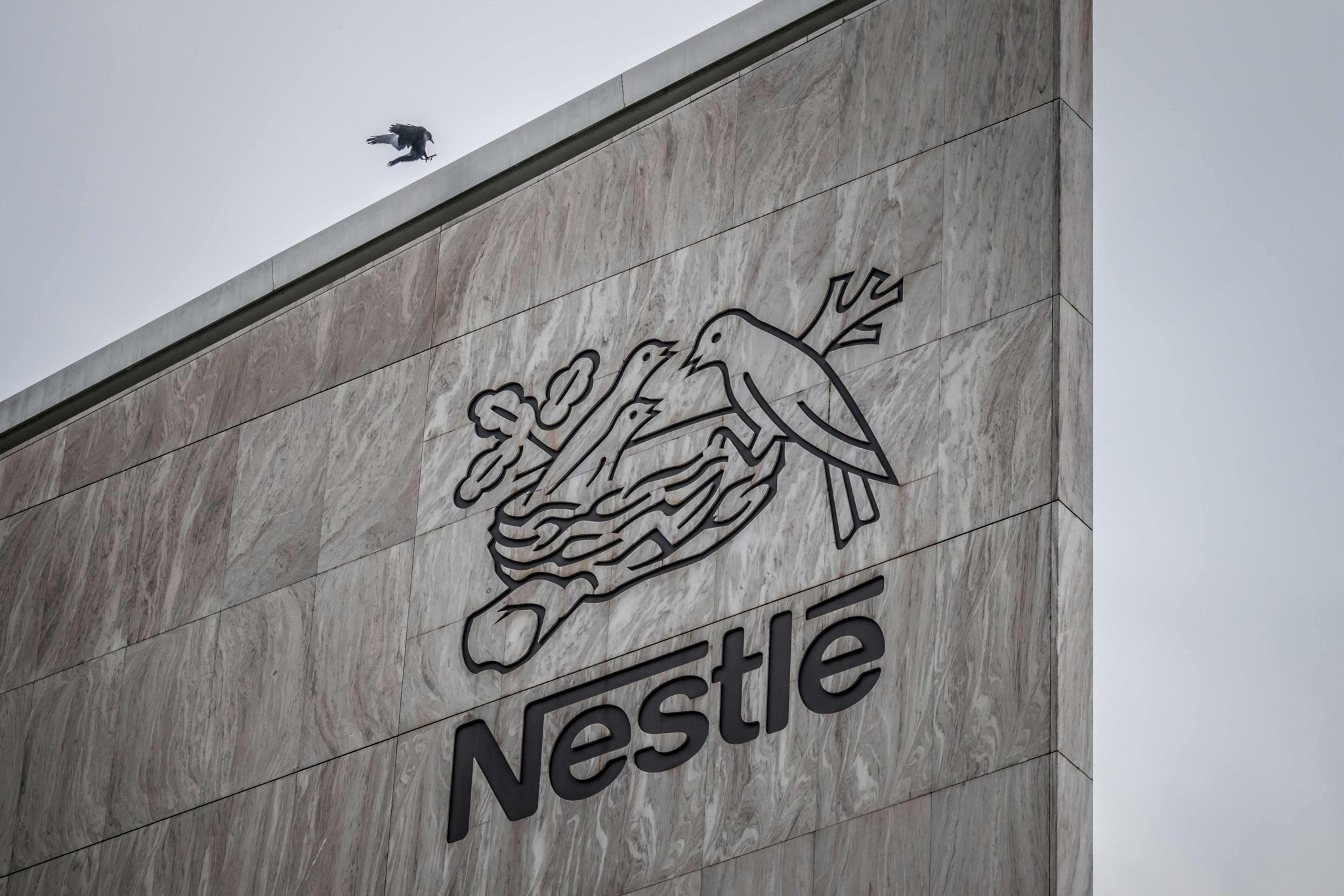 Un oiseau de la famille des corvidés vole près du logo Nestlé sur la façade du siège du géant alimentaire à Vevey, en Suisse.